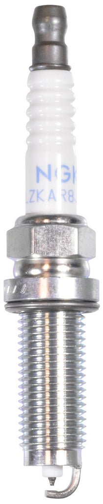 GENERIC - Photo - Primary