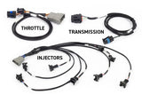 Haltech NEXUS Rebel LS Kit (Suits Gen III) Cable Throttle/EV1 Injectors/Manual Transmission [HT-220201]